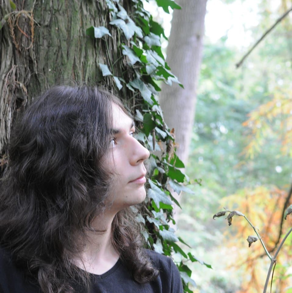 International Corner // Cosmo Sheldrake – Does the swallow dream of flying&nbsp;(fordítás)